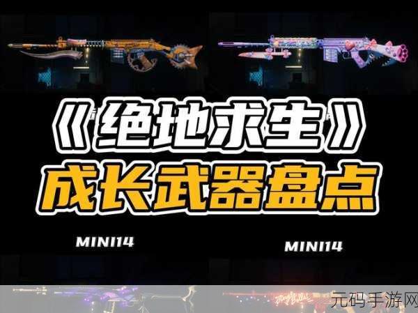 绝地求生,解锁角色与武器炫酷皮肤,打造个性化战场体验