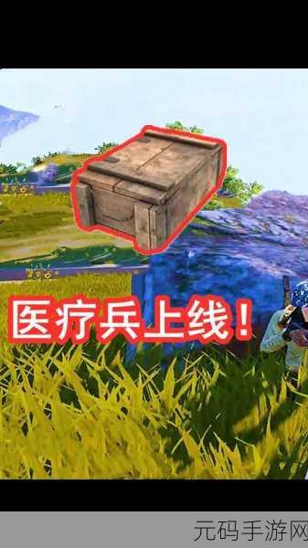 和平精英，工程兵医疗兵玩法深度解析，打造无敌战斗组合