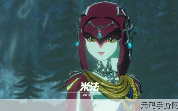塞尔达无双，灾厄启示录角色强度大揭秘，谁将主宰战场荣耀？
