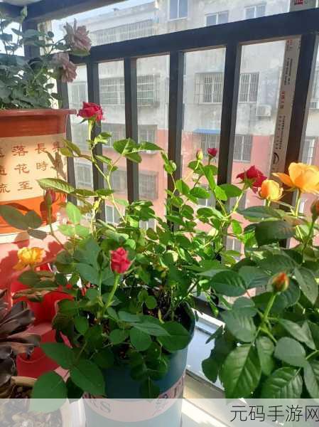 怎样照顾小花园的技巧:1. 小花园养护技巧:让你的植物茁壮成长