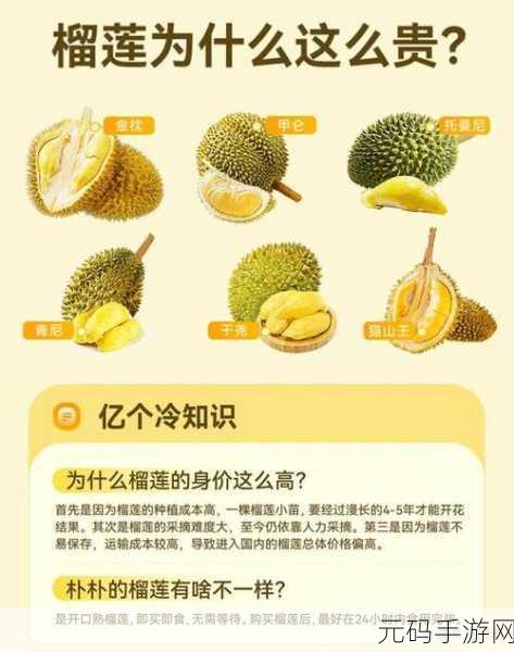榴莲香蕉苹果哈密瓜水蜜桃：1. 探索热带水果的美味与营养
