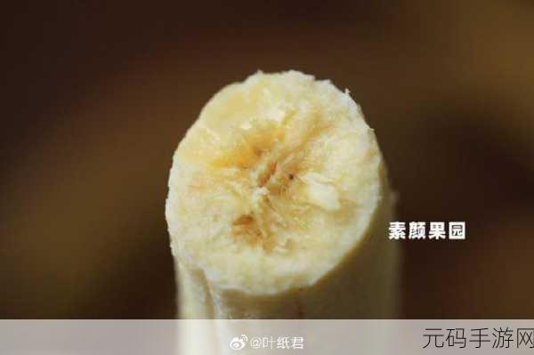 香蕉夜夜草草久久亚洲香蕉:1. 香蕉夜晚的绮丽幻想与草原的宁静