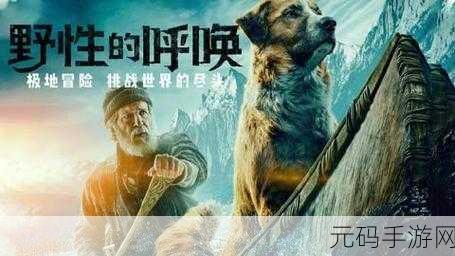 野性的青春：1. 青春的野性：自由与梦想的追逐