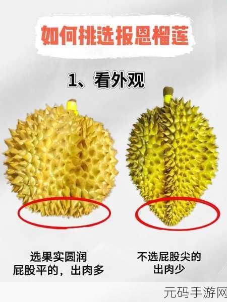 榴莲香蕉苹果哈密瓜水蜜桃全集发布:1. 《热带水果的奇妙旅程:榴莲、香蕉与更多美味