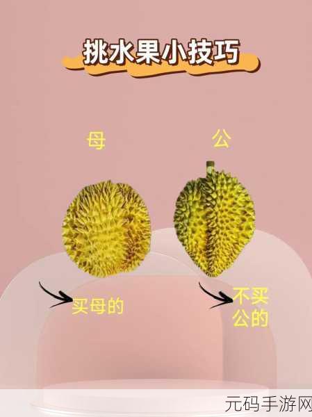 榴莲香蕉苹果哈密瓜水蜜桃全集发布:1. 《热带水果的奇妙旅程:榴莲、香蕉与更多美味