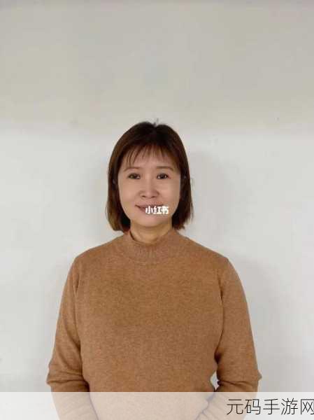 沈阳老阿姨最后的巅峰升级成功：1. 沈阳老阿姨：巅峰升级后的新篇章