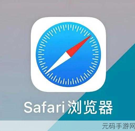 可以进入任何网站的浏览器：1. ＂无障碍浏览：畅游网络世界的扩展工具