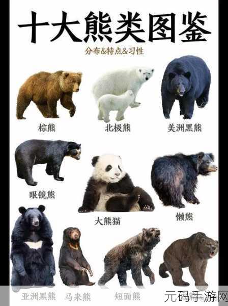 人与畜禽共性关系的重要性意义：1. 人畜共生：探索生态平衡的重要性