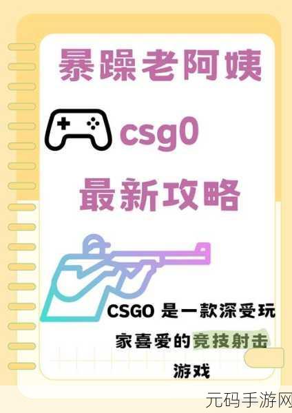 暴躁老阿姨CSGO最新版本:暴躁老阿姨CSGO:战斗中的幽默与绝地反击