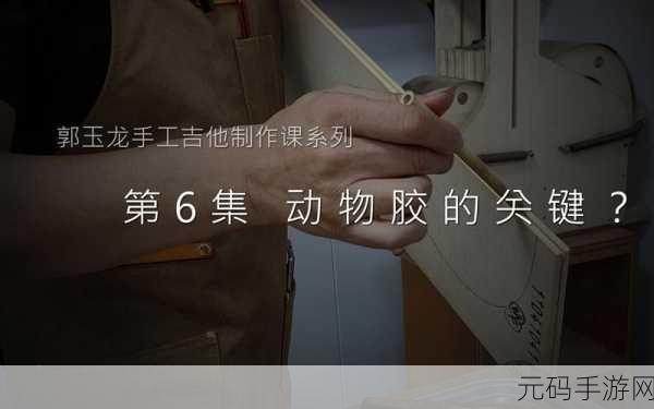 美国人与动物胶配方有几种:1. 探索美国人与动物胶的创新配方应用