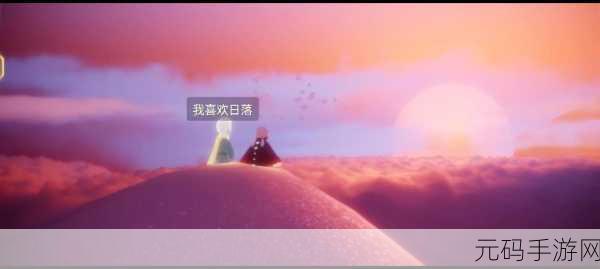 光遇小王子季探险指南，解锁神秘入口，破解进入难题