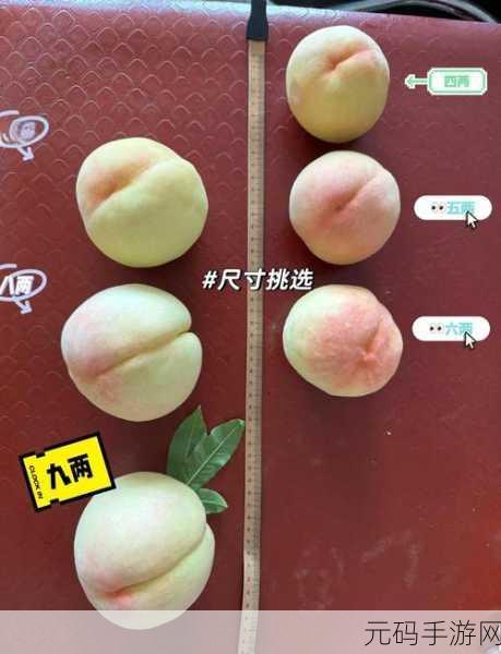 探索人间水蜜桃mac923:1. 探索人间水蜜桃:甜美的味觉之旅