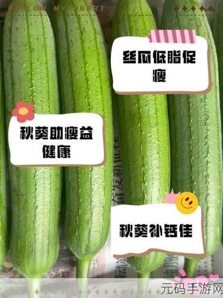草莓秋葵丝瓜茄子榴莲污下载:1. 秋季蔬果盛宴:草莓、秋葵与丝瓜的美味搭配
