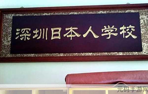 日本大一大二大三在一起读吗：1. 日本大学生的独特学习模式：大一到大三一起上课