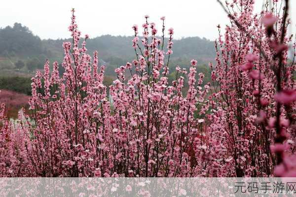 桃花源洞口芳草萋萋图片:1. 《桃花源深处的芳草梦境
