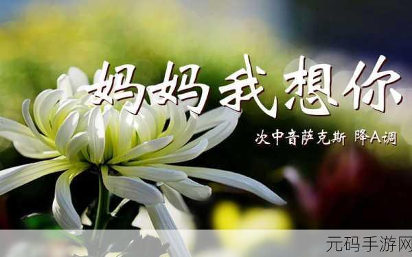 高清mv妈妈我想你看完泪目：1. 妈妈，您的爱是我心灵的港湾