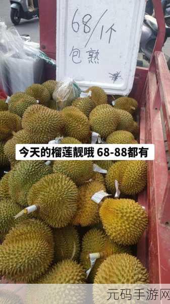 向日葵草莓香蕉榴莲鸭脖大全：1. 向日葵下的草莓与榴莲：独特美味分享