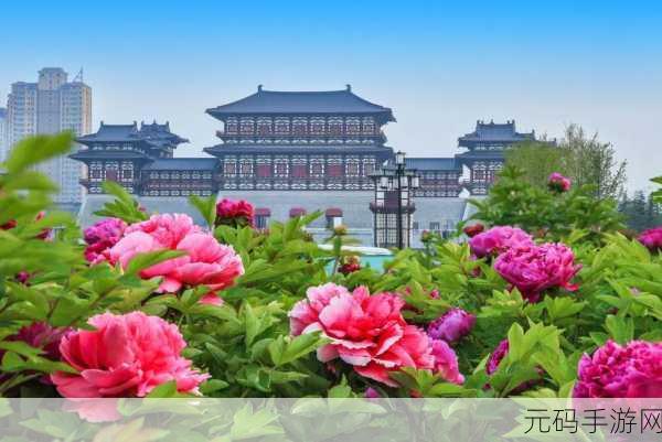 国色天香网：1. 国色天香：探寻中国传统文化的瑰宝