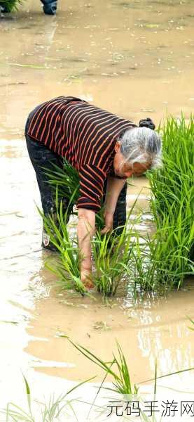 24种男女插秧法:1.插秧新方式:探索24种男女合作技巧