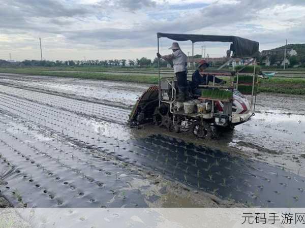 24种男女插秧法:1.插秧新方式:探索24种男女合作技巧