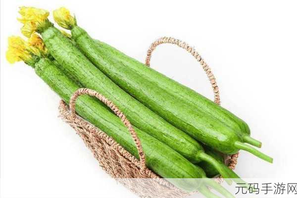 草莓榴莲丝瓜向日葵绿**色多多app:1. 探索草莓榴莲丝瓜向日葵的健康食谱