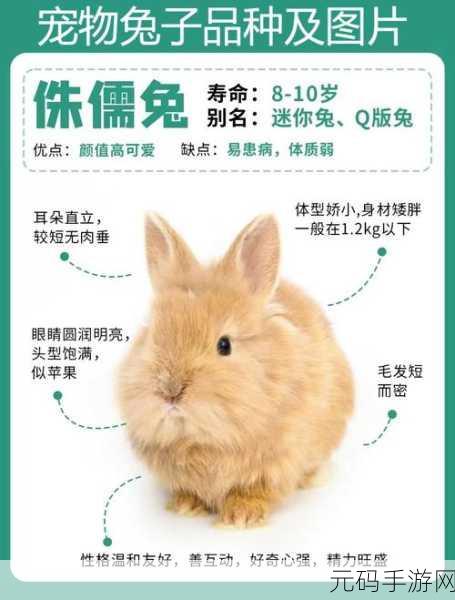 是不是男的都吃过女朋友的小兔兔:1. 男友吃过女朋友的小兔兔,真的能接受吗?