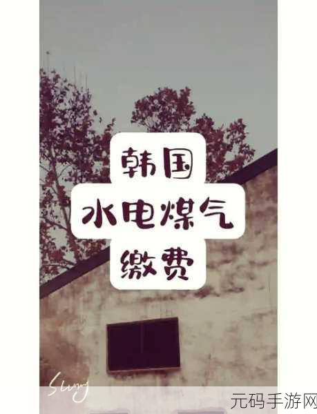 韩国三色电费:1. 韩国三色电费体系解析与应用