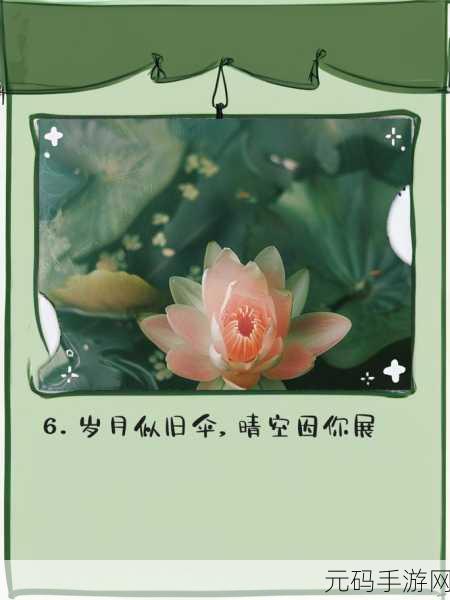 快拨出天我是你母亲：1. 《在快拨中重拾母爱与温暖的记忆