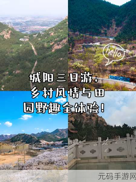小森生活,探索田园风情,轻松拜访好友新体验