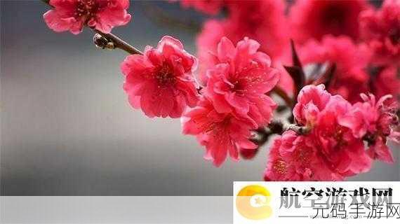 一马双跨by折枚针:1. 一马双跨:探索折枚针的创新应用