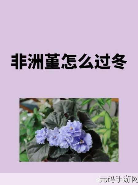 非洲BBOOMBBOOM的含义重新上映:当然可以!以下是一些基于“BBOOMBBOOM”含义的新的标题建议: