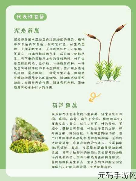 冰原守卫者中青苔的神奇用途全解析