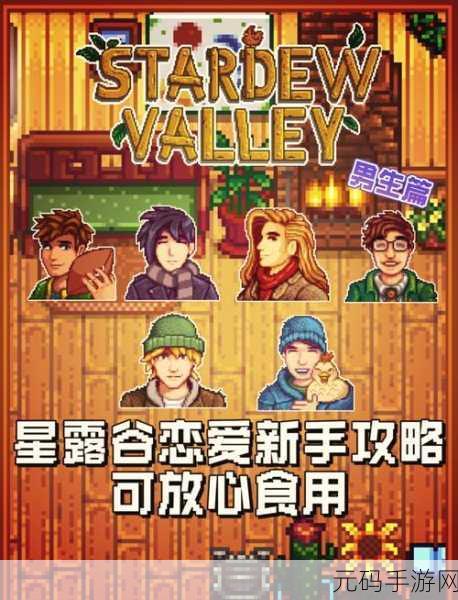 星露谷物语,揭秘奇怪胶囊的奇妙用途
