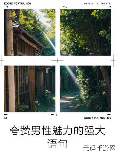 videocodecwmvideodecoder的魅力：1. 探索Videocodec WMVideoDecoder的强大魅力