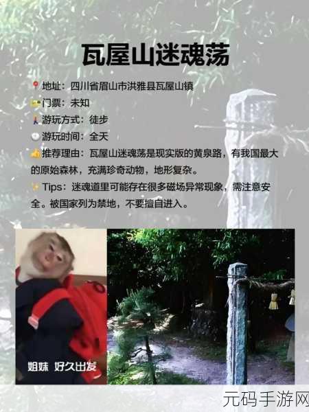神秘路线入口：1. 探索神秘路线：揭开未知之旅的序幕