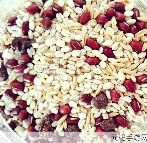 青稞直播：1. 青稞直播：探索传统与现代的完美结合