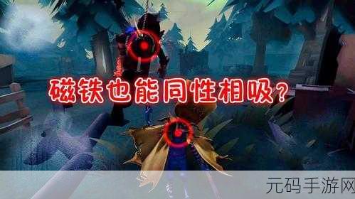 第五人格闪退之谜,探寻背后的原因与解决方案