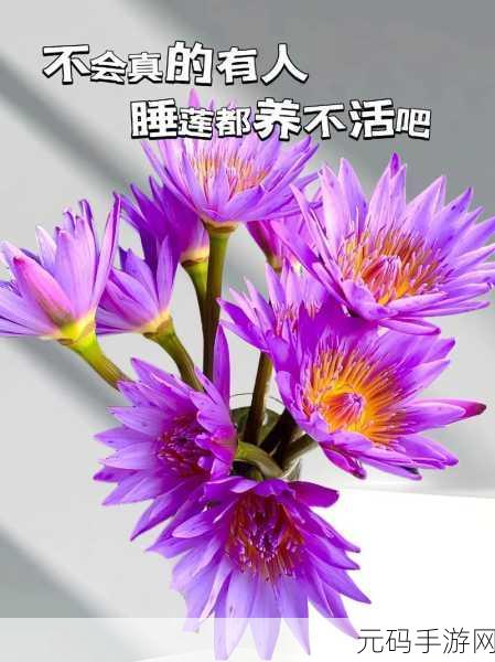 女人半夜莲花开是什么意思:1. 夜深人静,莲花悄然绽放的秘密