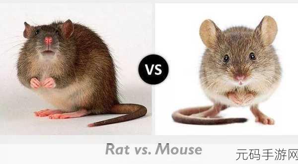 探索人与畜禽交互MOUSE突然爆火：1. ＂探索人与畜禽交互：MOUSE现象引发热潮