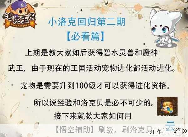 洛克王国，小机械贝贝高效练级全攻略揭秘