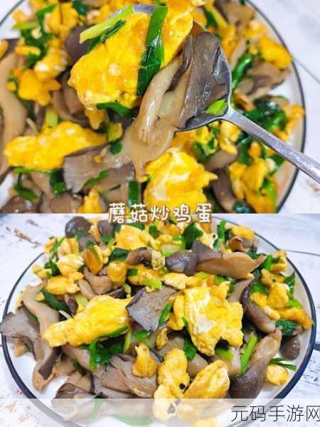 幻塔炒蘑菇秘籍,制作方法与技巧全解析