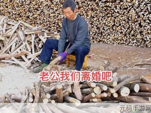 物业电工老赵与刘梦刘香的日常:1. 老赵与刘梦的电工合作日常揭秘