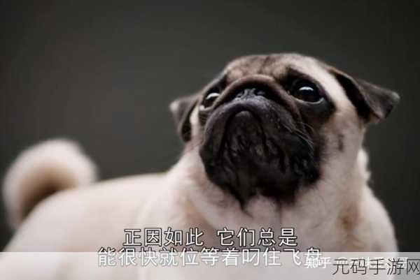 ZOOMSERVO兽狗剧情:1. 《兽狗传奇:荒野中的忠诚与背叛