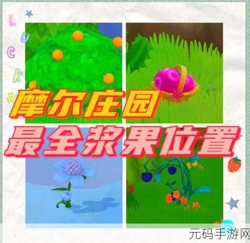 摩尔庄园，开启牧场之旅，小鸡饲养全攻略