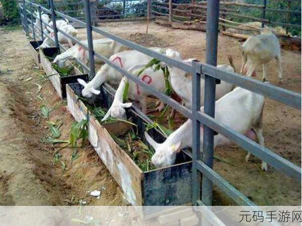 人马畜禽company免费澎湃号：1. 人马畜禽公司：引领现代农业的新潮流