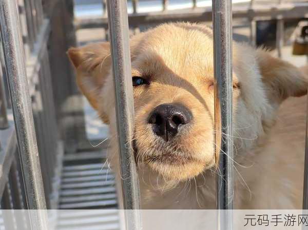 男朋友听到我哼哼唧唧的笑我干嘛:1. "男朋友的笑声背后:我哼唧唧的秘密