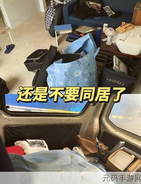 我的同居美女们:1. 同居美女们的生活琐事与欢乐瞬间