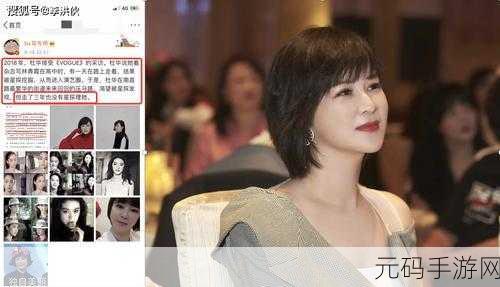 绝对演绎,揭秘咖位晋升秘籍,打造演艺界传奇