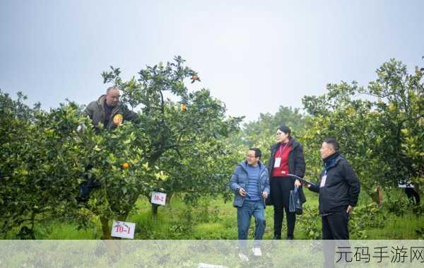 肥水不流外人田:1. 肥水不流外人田:守护家乡的美好与富饶