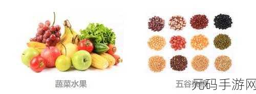 肉食教师食取报告4：1. ＂肉食教师：探讨饮食选择对健康的影响